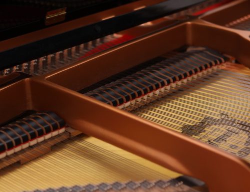 Konzertempfehlung:  Klavierrecital  „Homage an Bach“  mit  Martin Stadtfeld  am 21.09.2018 präsentiert die Chopin-Gesellschaft Taunus e.V. um 20 Uhr  in der  Stadthalle Oberursel/Taunus